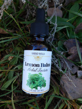 Load image into Gallery viewer, Lemon Balm Tincture