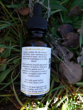 Load image into Gallery viewer, Digestive Bitters: Garden Blend