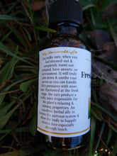 Load image into Gallery viewer, Fresh Milky Oats Tincture