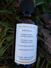 Load image into Gallery viewer, Echinacea tincture