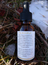 Load image into Gallery viewer, Lion's Mane Tincture