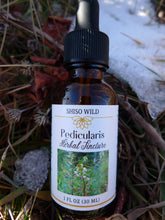 Load image into Gallery viewer, Pedicularis Tincture