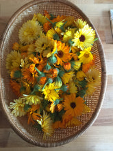 Load image into Gallery viewer, Ambrosia Facial Serum