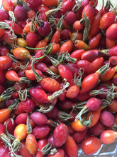 Load image into Gallery viewer, Rose Facial Serum