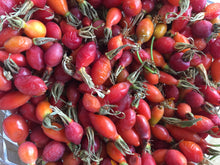 Load image into Gallery viewer, Nettle & Rose Hips Oxymel
