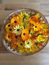 Load image into Gallery viewer, Calendula Oil