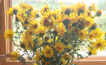 Load image into Gallery viewer, Deep Breath Oxymel