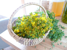 Load image into Gallery viewer, St. John's Wort Oil