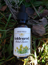 Load image into Gallery viewer, Goldenrod tincture
