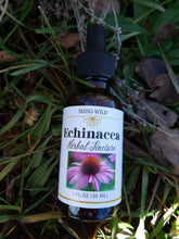 Load image into Gallery viewer, Echinacea tincture
