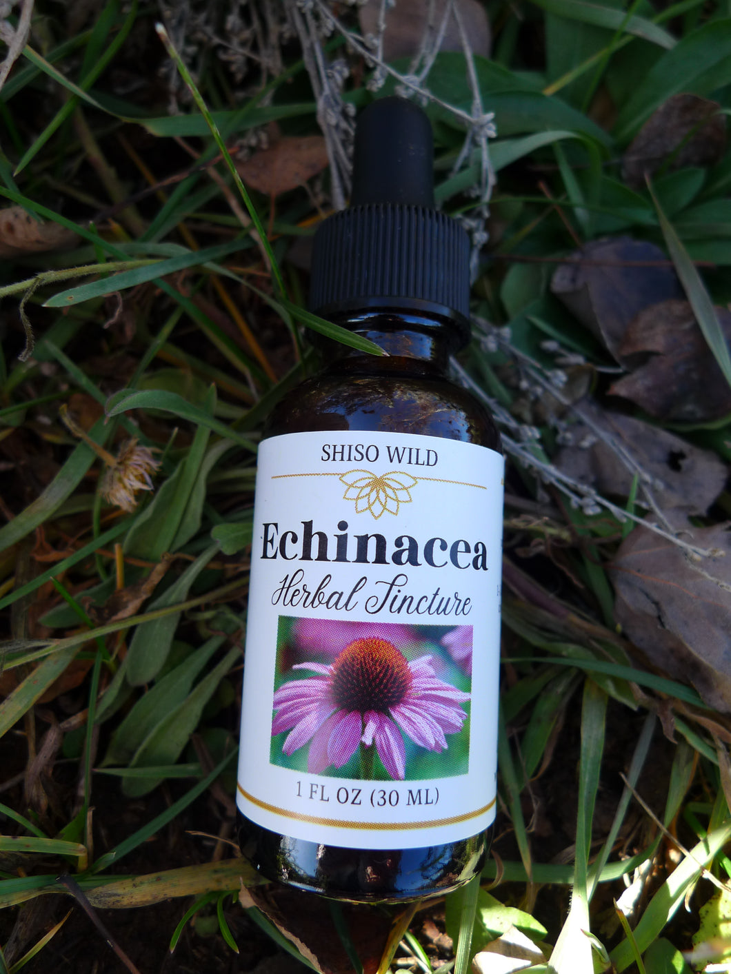 Echinacea tincture
