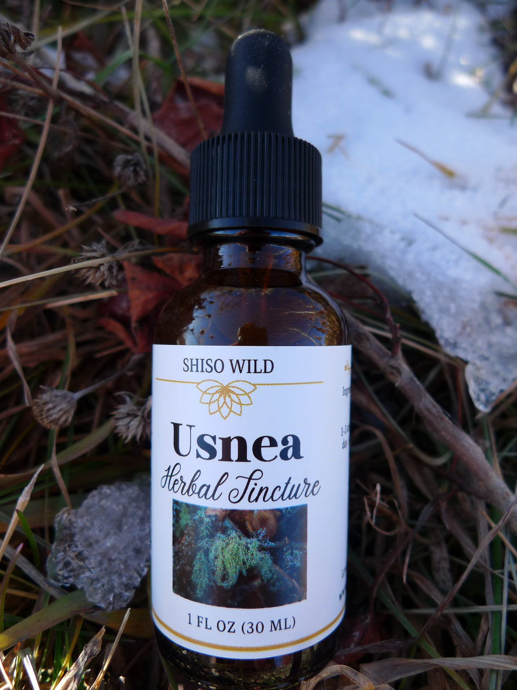 Usnea