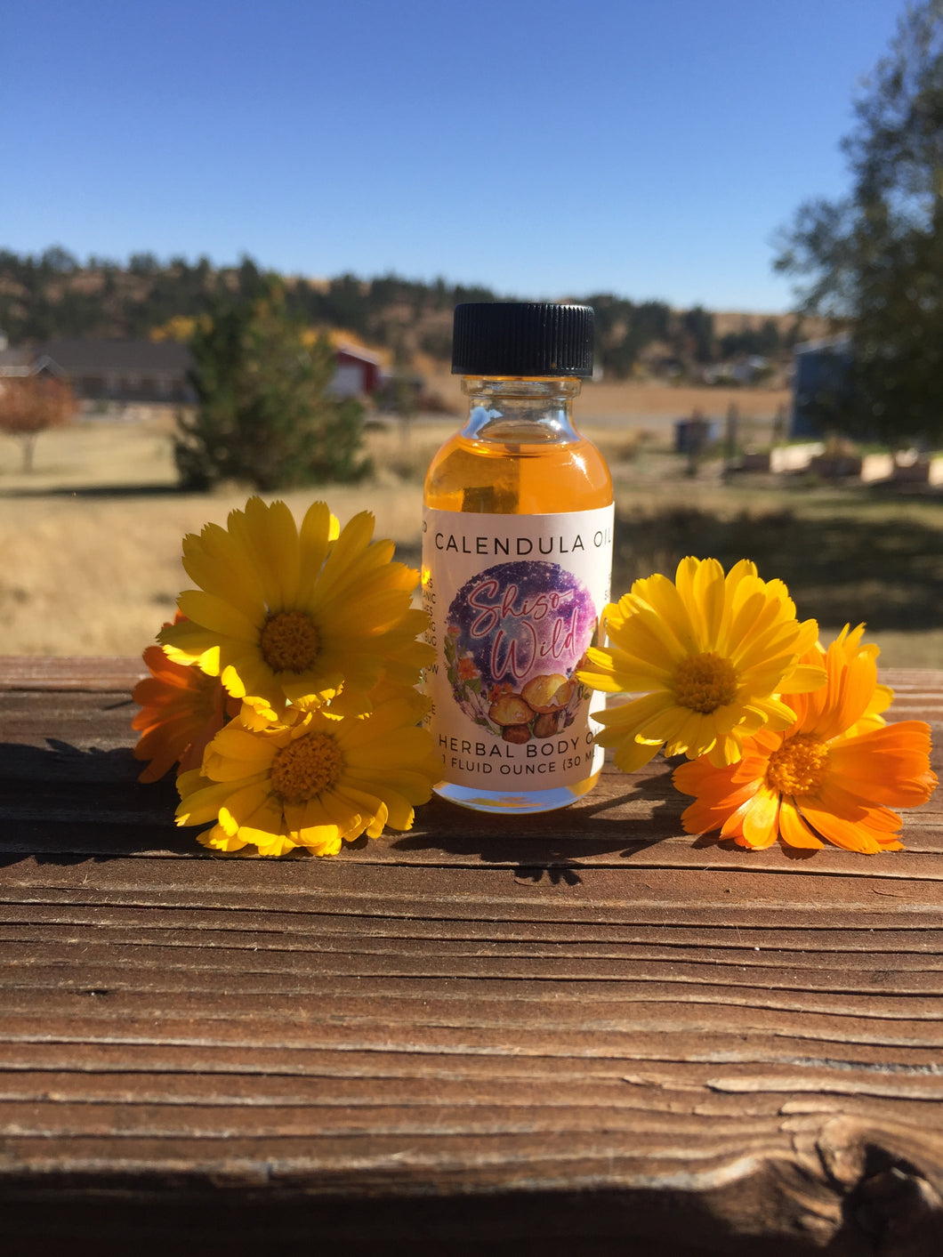 Calendula Oil